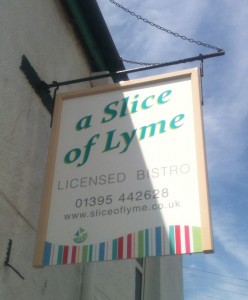 ds a slice of lyme